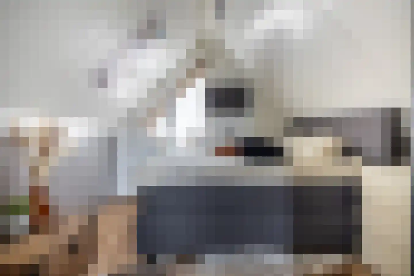 Roerdomp 24 Breda thumbnail 33