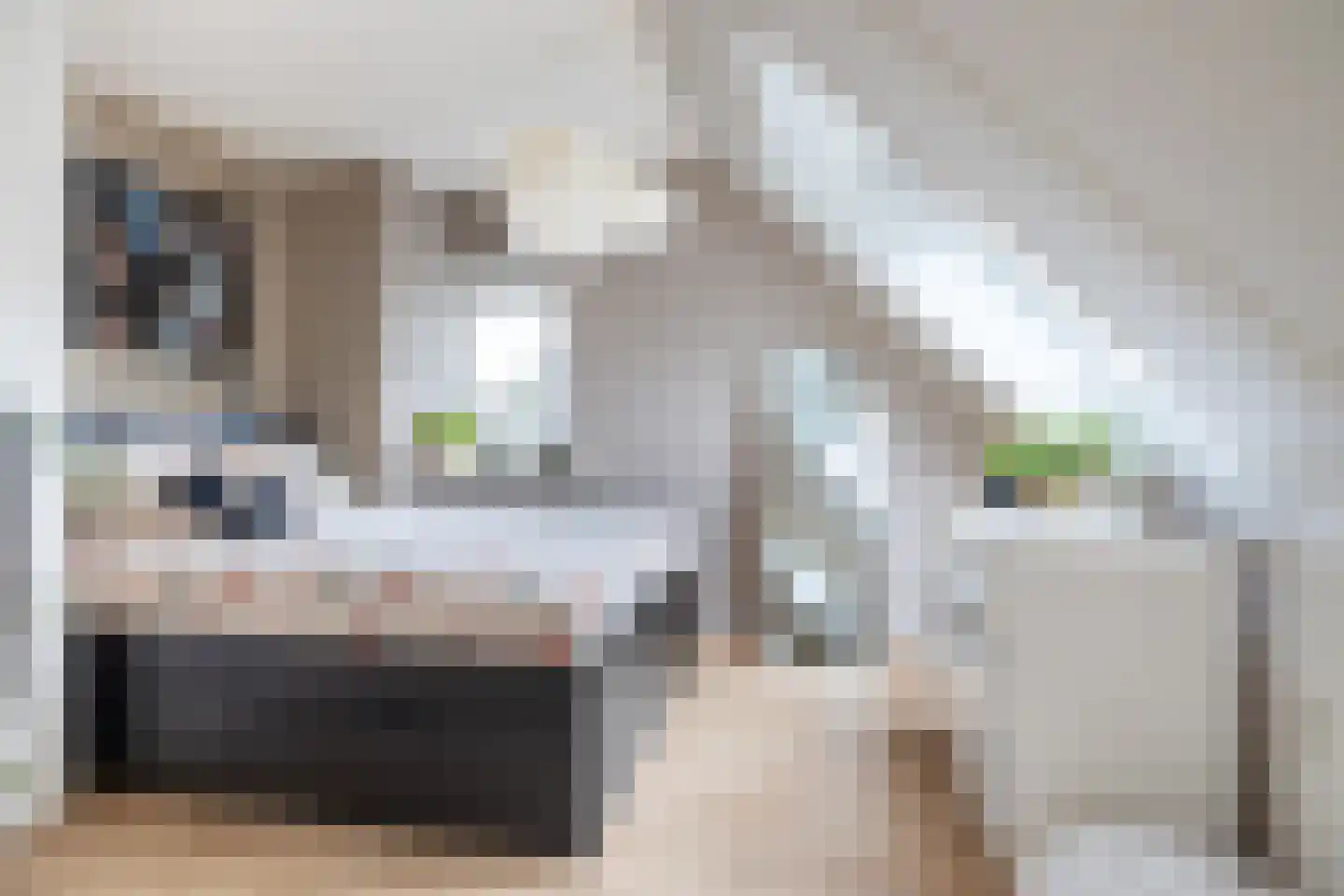 Roerdomp 24 Breda thumbnail 34