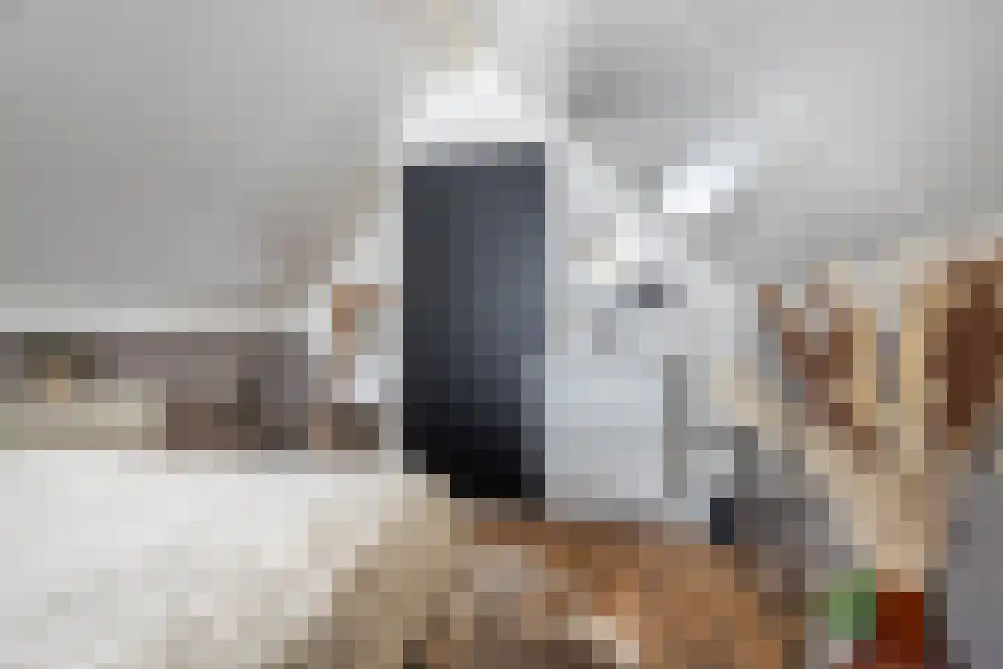 Roerdomp 24 Breda thumbnail 35