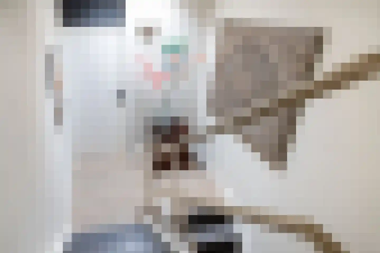 Roerdomp 24 Breda thumbnail 36