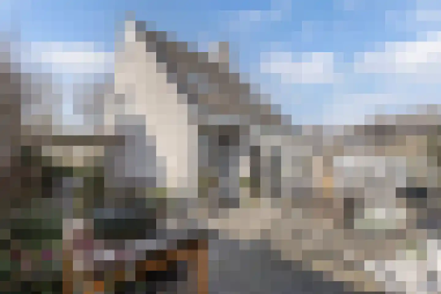 Roerdomp 24 Breda thumbnail 37