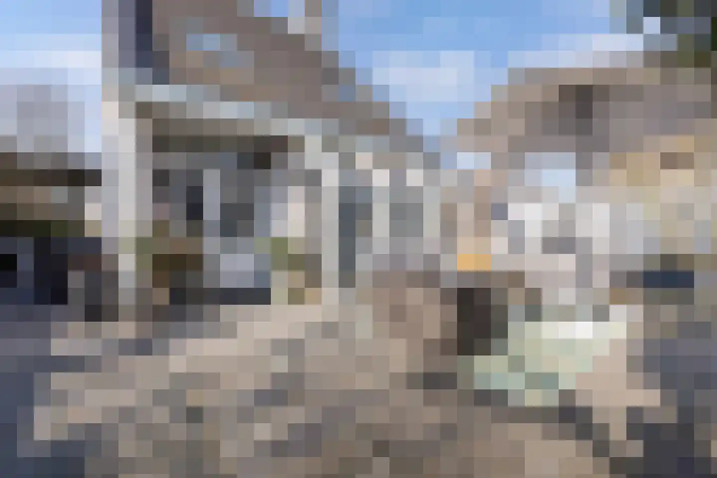 Roerdomp 24 Breda thumbnail 38