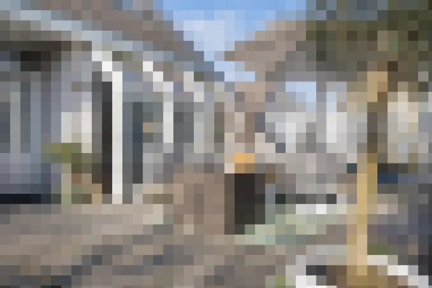 Roerdomp 24 Breda thumbnail 40