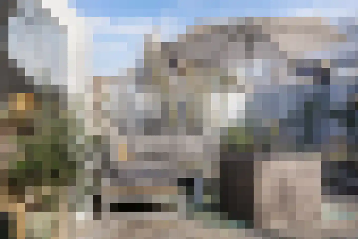 Roerdomp 24 Breda thumbnail 41