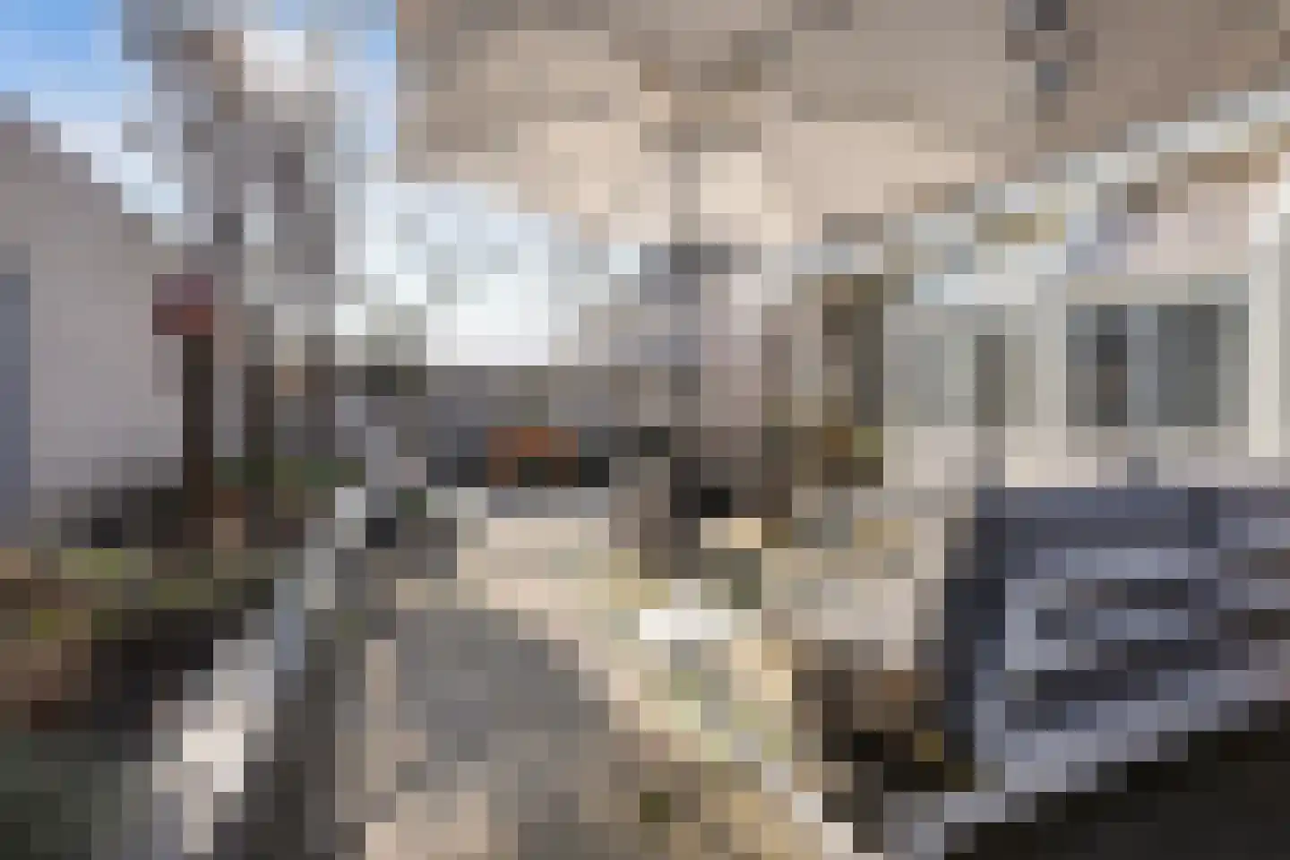 Roerdomp 24 Breda thumbnail 43