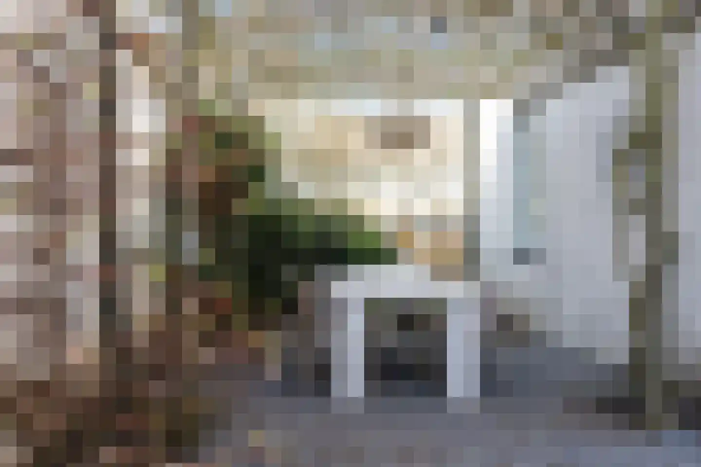 Roerdomp 24 Breda thumbnail 45