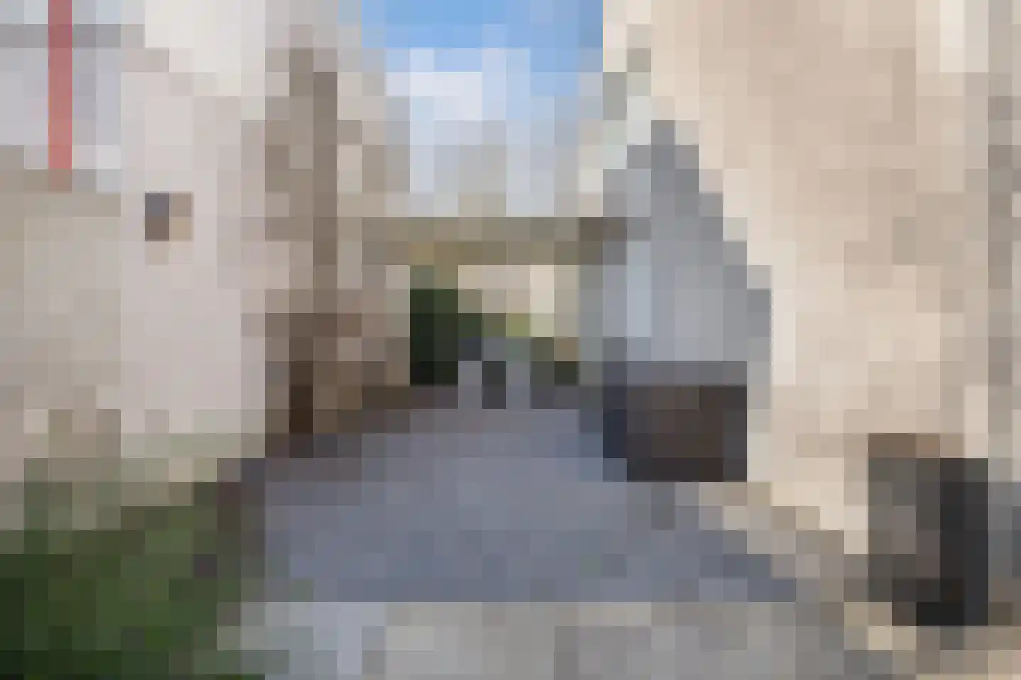 Roerdomp 24 Breda thumbnail 46