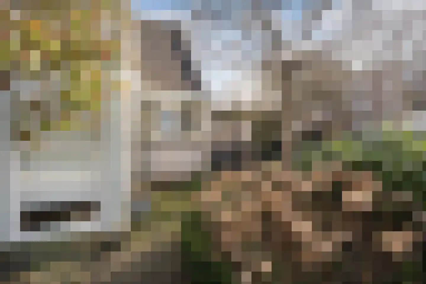 Roerdomp 24 Breda thumbnail 47