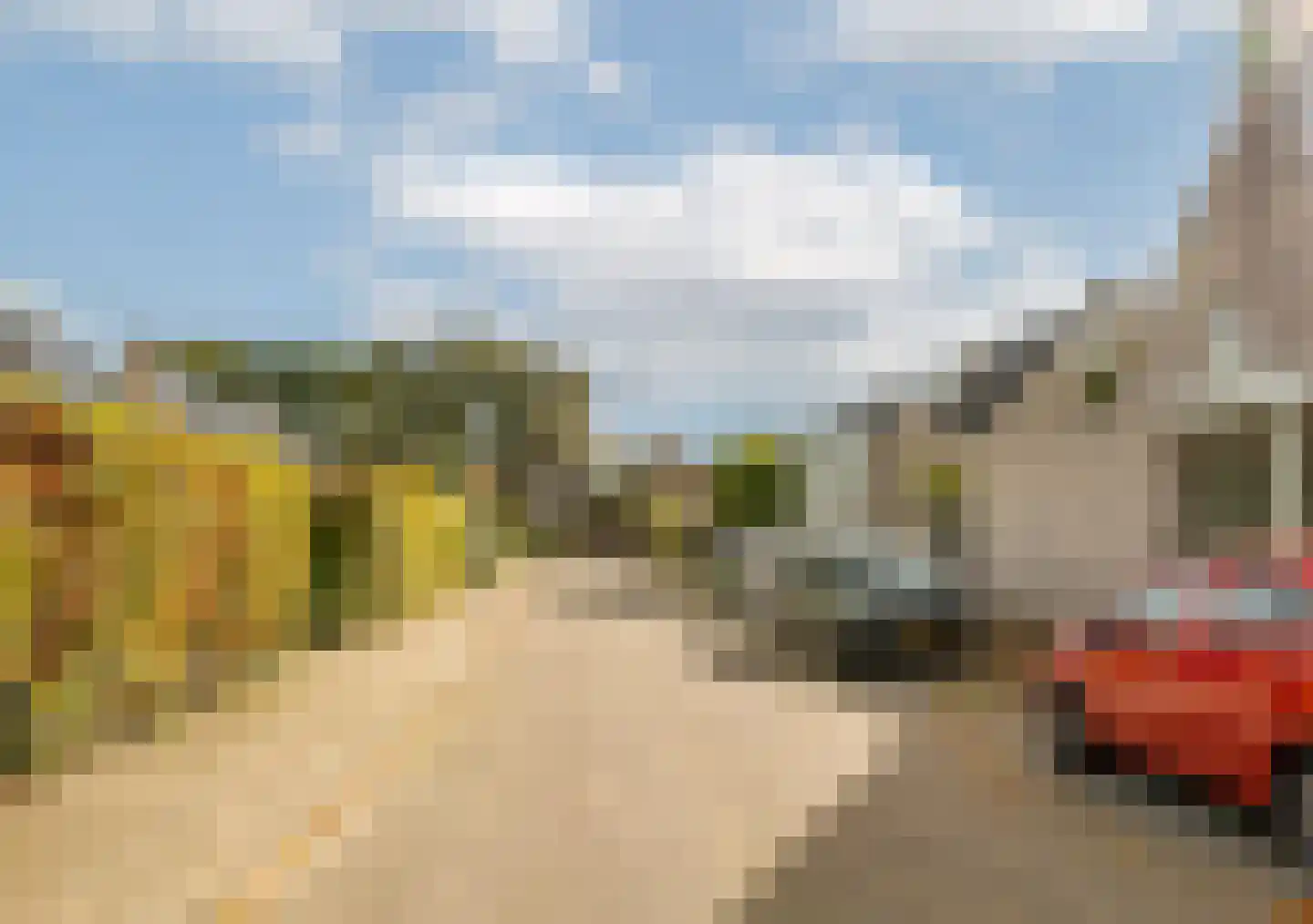 Roerdomp 24 Breda thumbnail 48