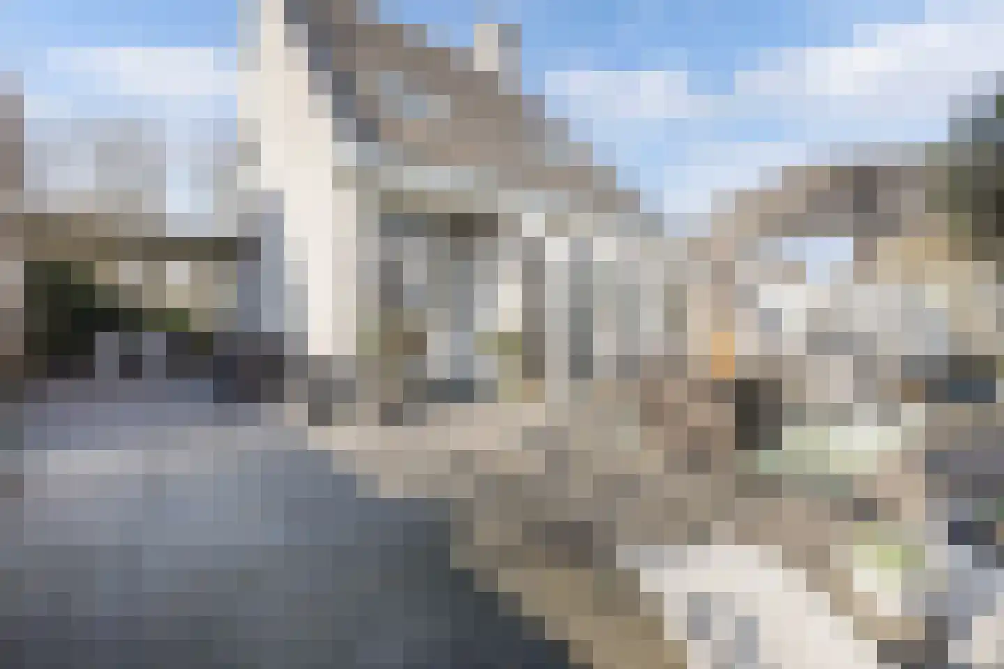 Roerdomp 24 Breda thumbnail 5
