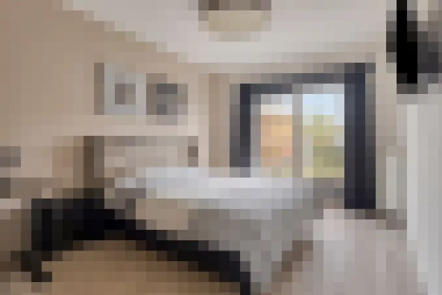 Roerdomp 24 Terneuzen thumbnail 11
