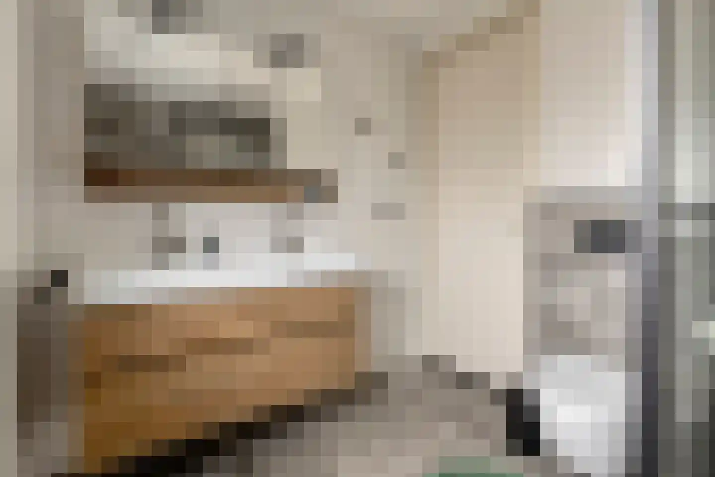 Roerdomp 24 Terneuzen thumbnail 13