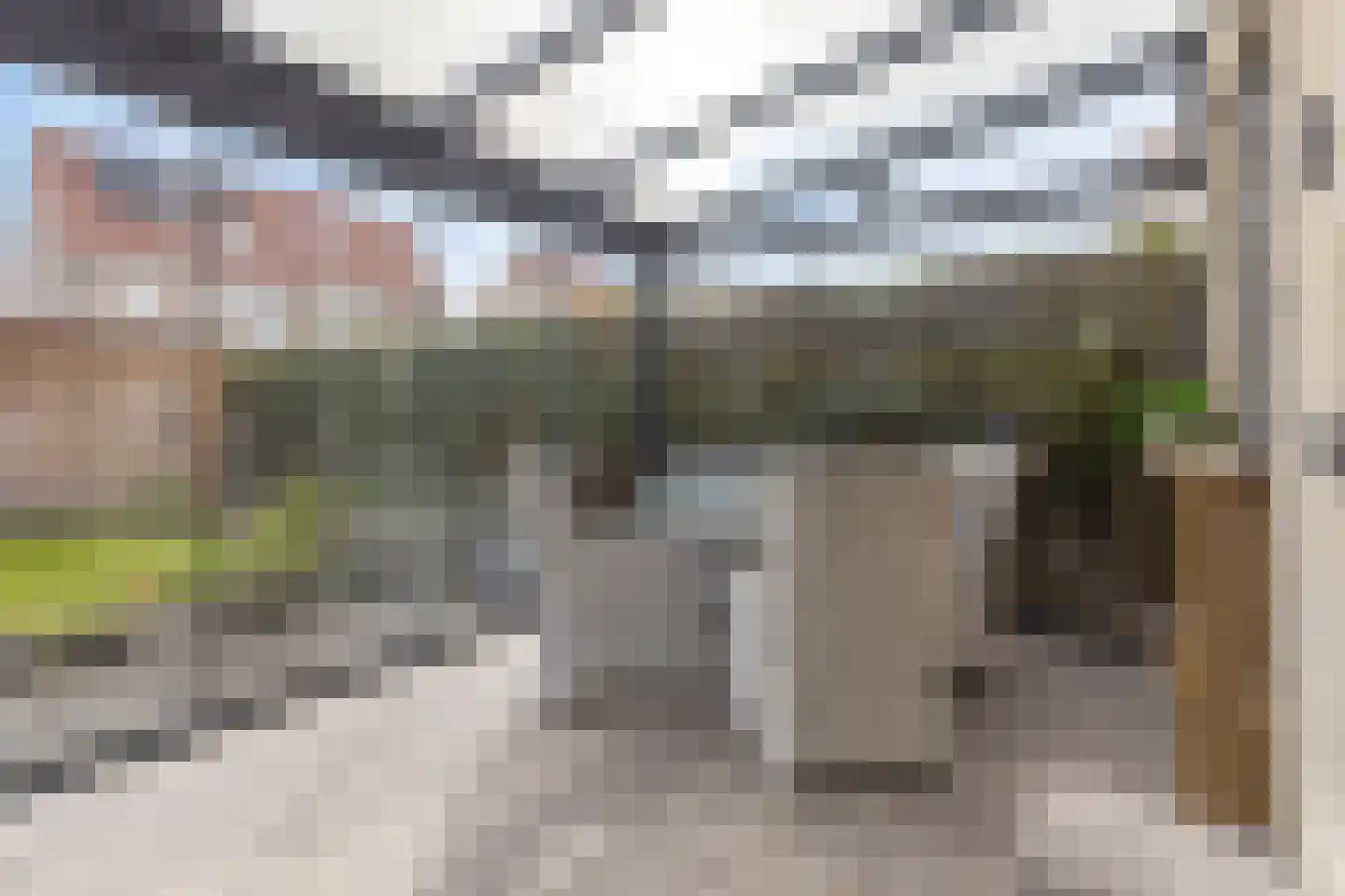 Roerdomp 24 Terneuzen thumbnail 18