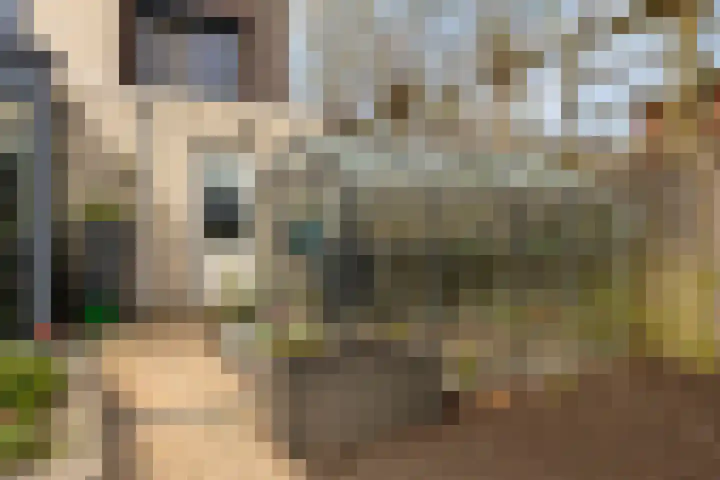 Roerdomp 24 Terneuzen thumbnail 23