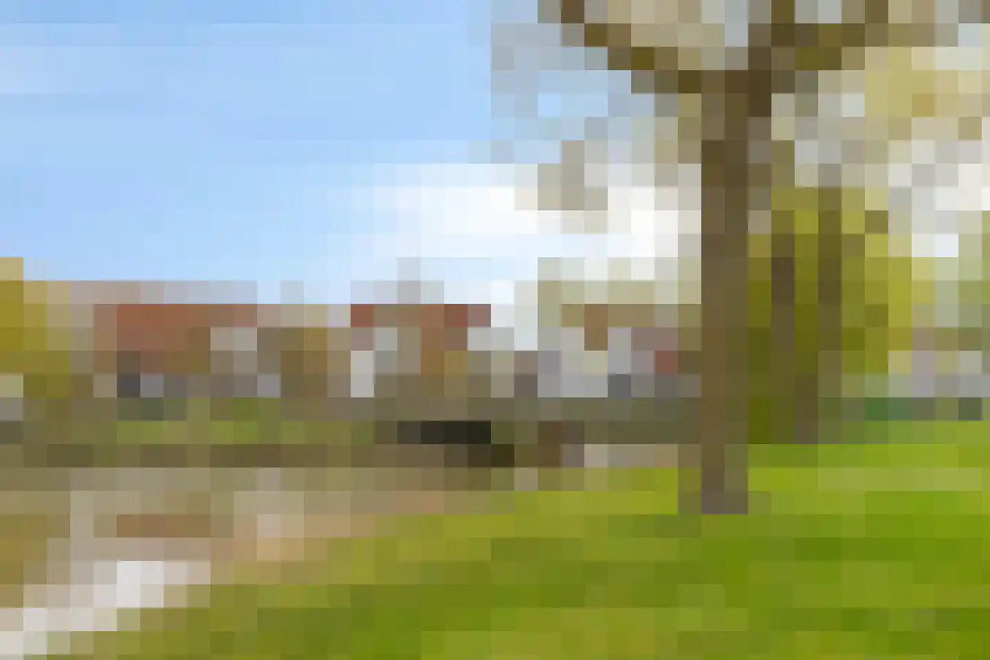 Roerdomp 24 Terneuzen thumbnail 26