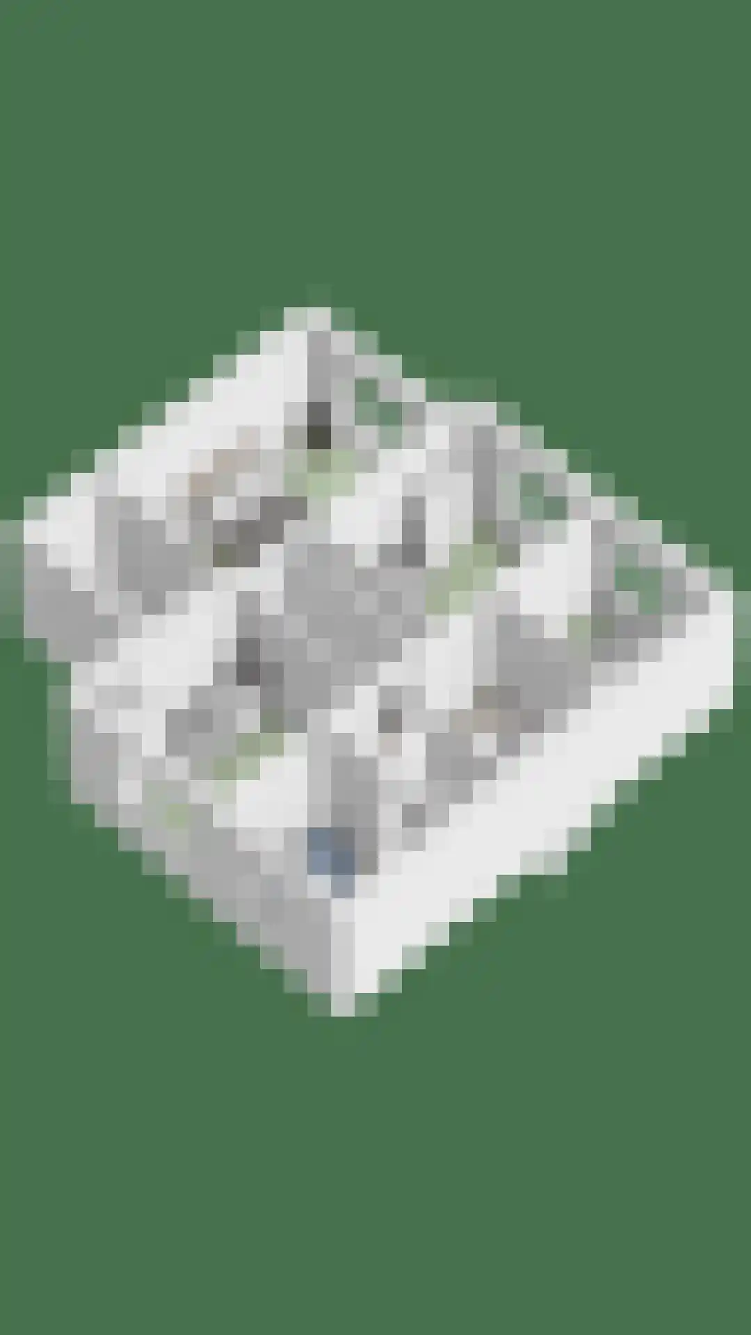 Roerdomp 24 Terneuzen thumbnail 31
