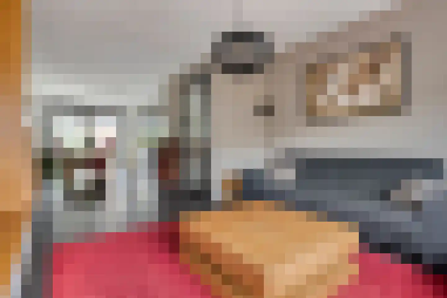 Roerdomp 24 Terneuzen thumbnail 4