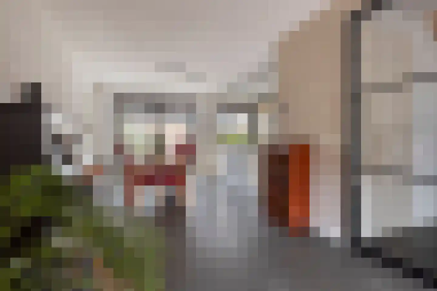Roerdomp 24 Terneuzen thumbnail 5