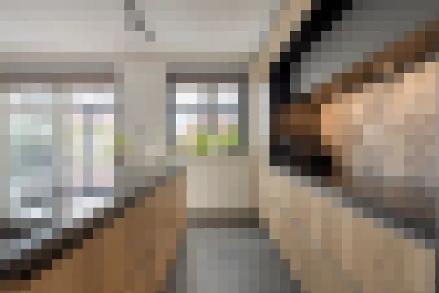 Roerdomp 24 Terneuzen thumbnail 7