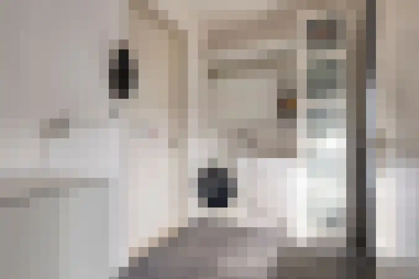 Roerdomp 24 Terneuzen thumbnail 9