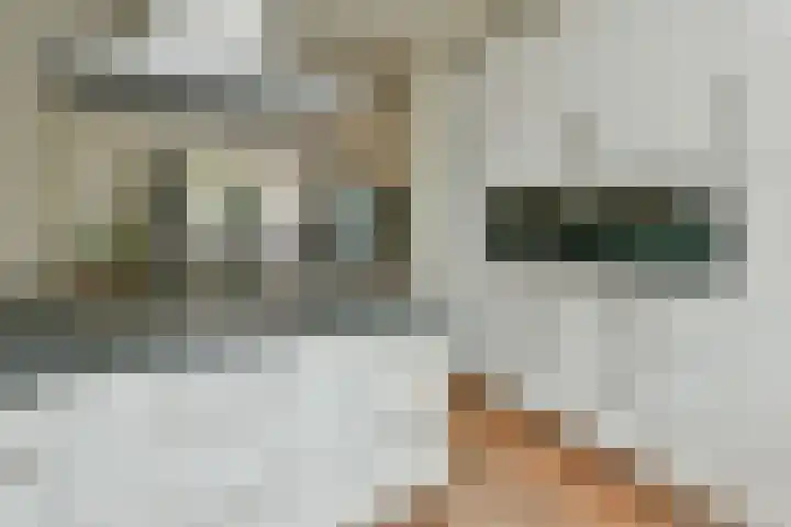 Roerdomp 27 Kockengen thumbnail 15