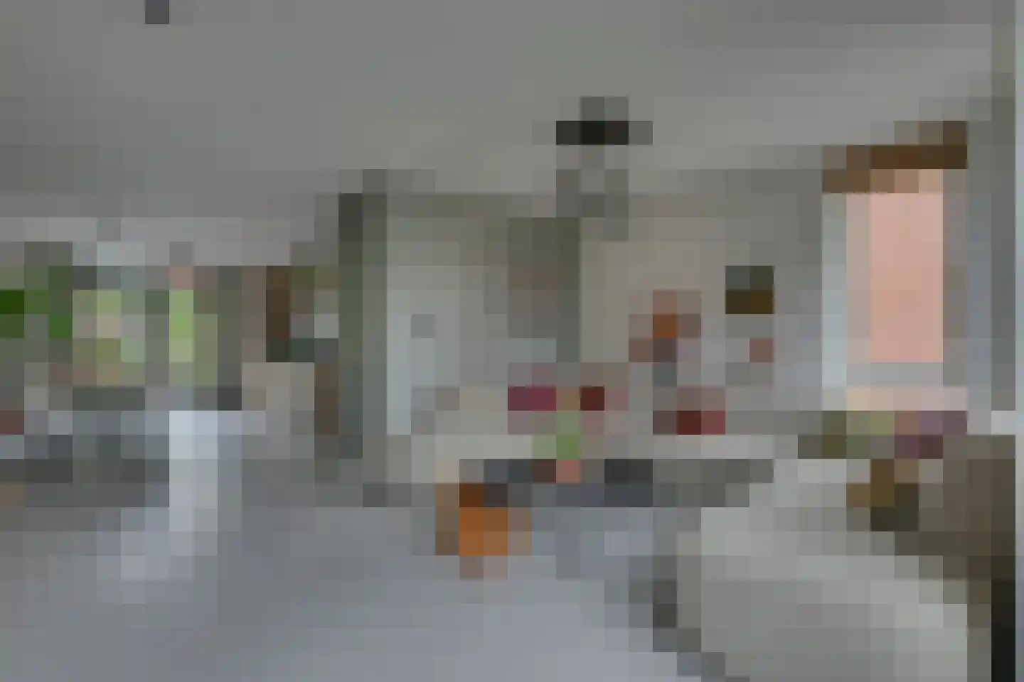 Roerdomp 28 Spanbroek thumbnail 13