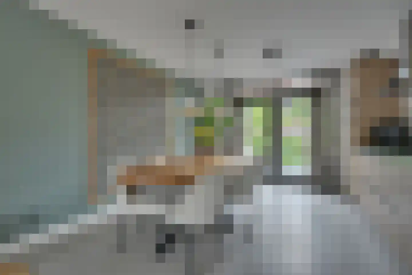 Roerdomp 28 Spanbroek thumbnail 15