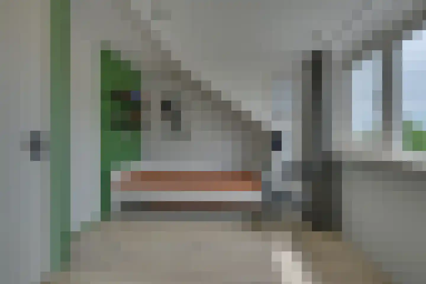 Roerdomp 28 Spanbroek thumbnail 40