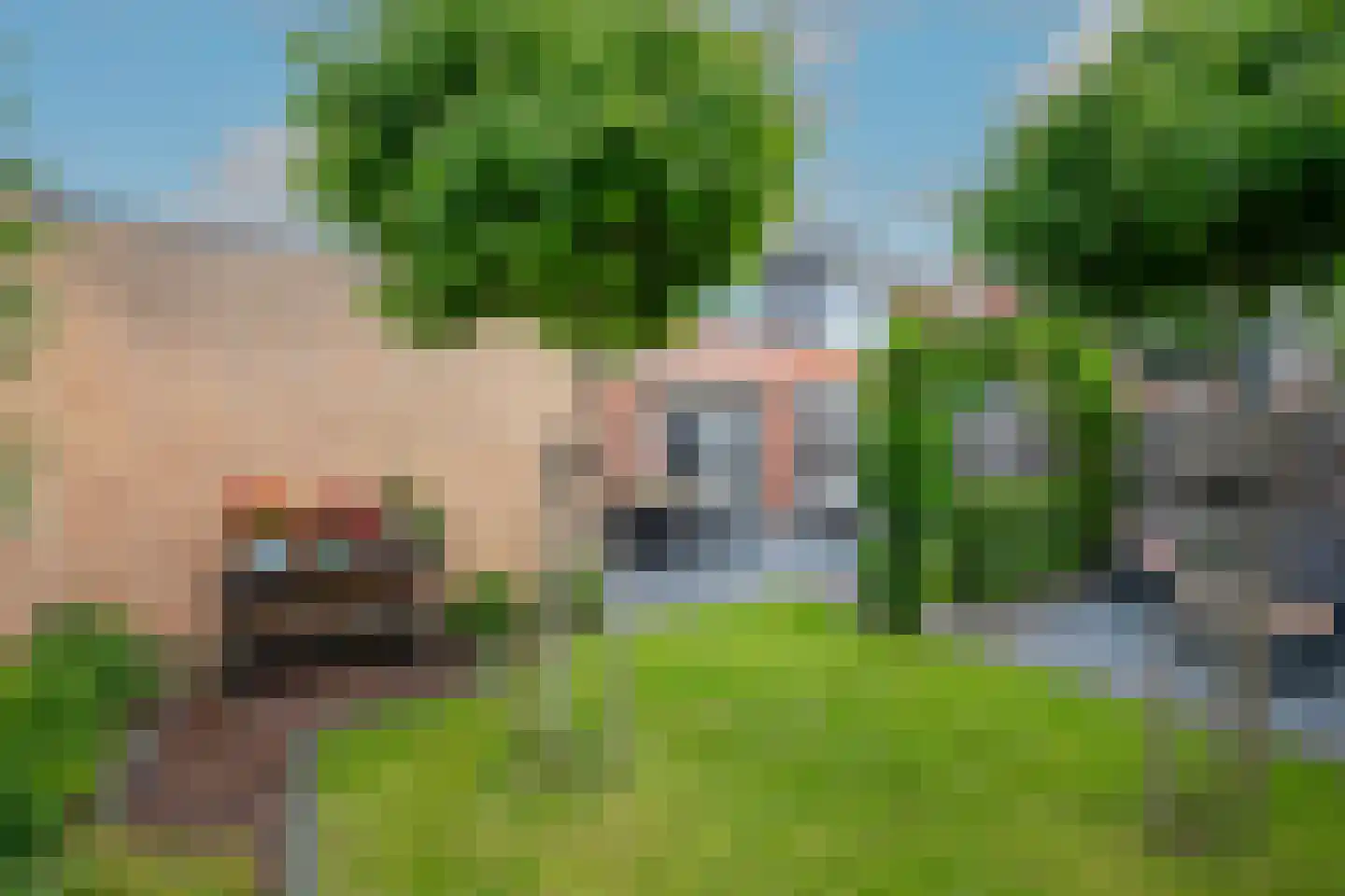 Roerdomp 28 Spanbroek thumbnail 49