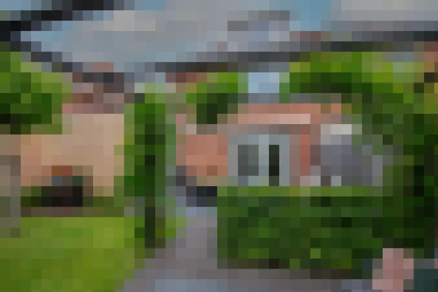 Roerdomp 28 Spanbroek thumbnail 50