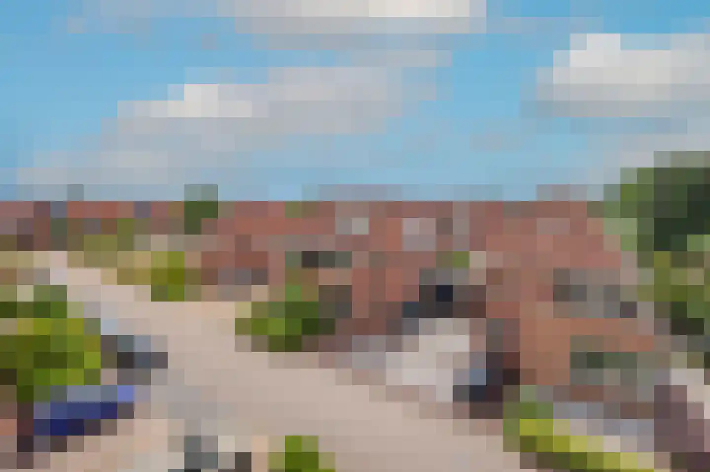 Roerdomp 28 Spanbroek thumbnail 53
