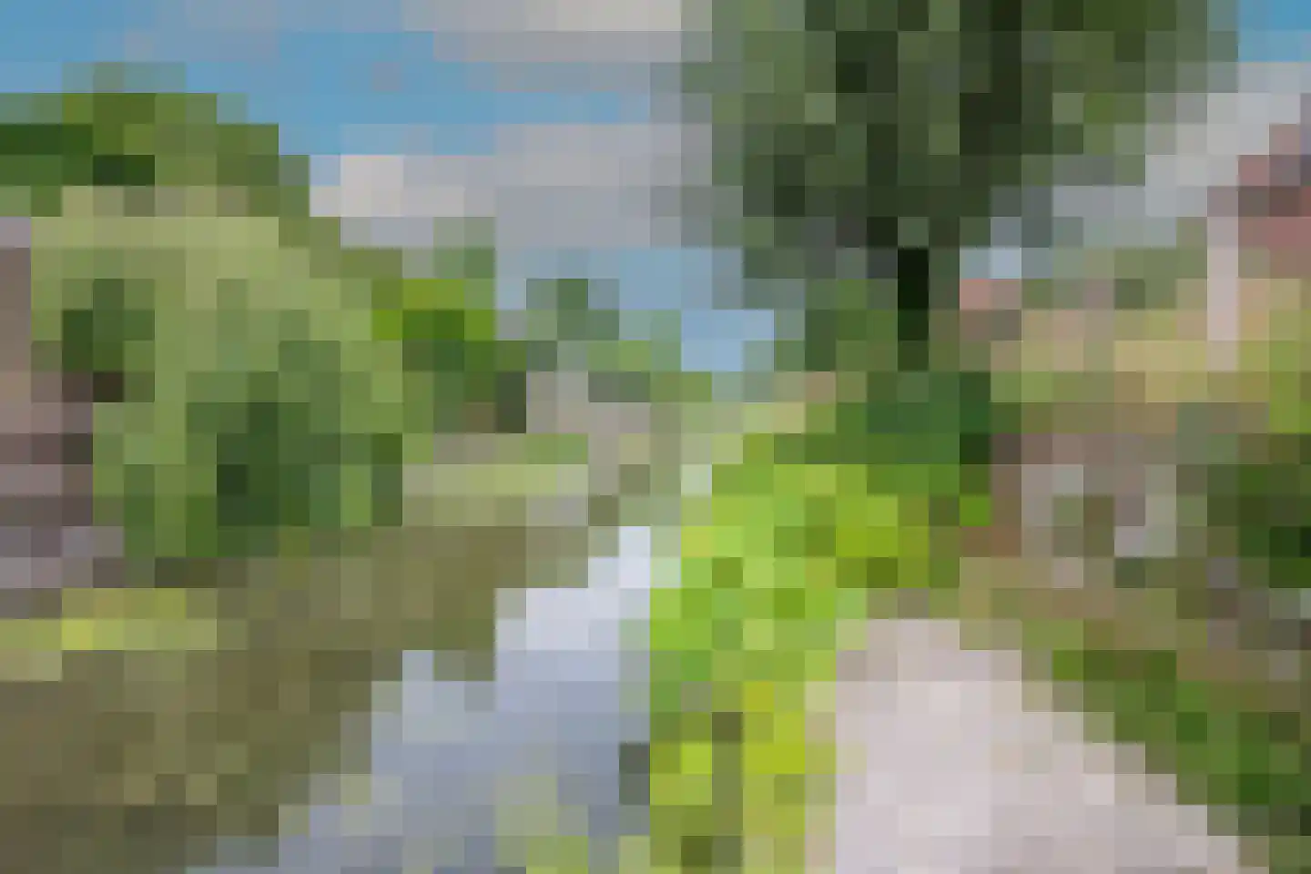 Roerdomp 28 Spanbroek thumbnail 57