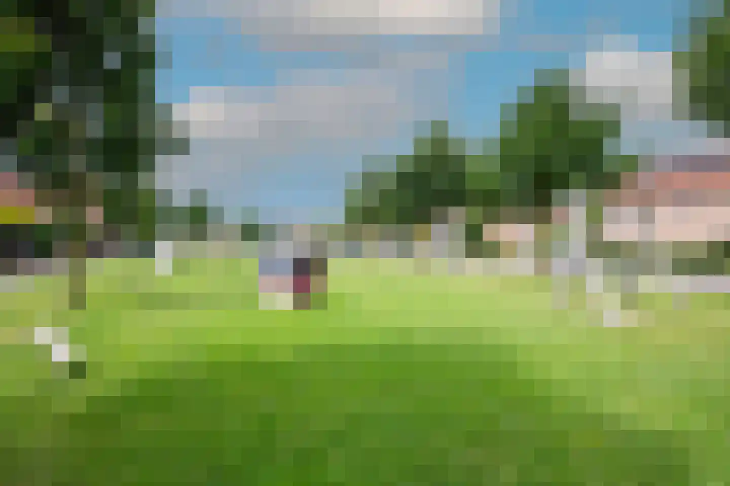 Roerdomp 28 Spanbroek thumbnail 59