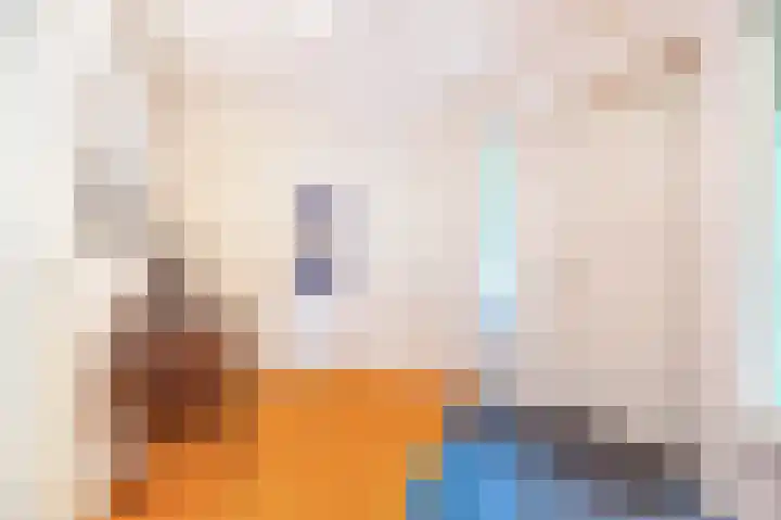Roerdomp 3 Groningen thumbnail 10