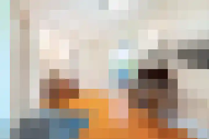 Roerdomp 3 Groningen thumbnail 11