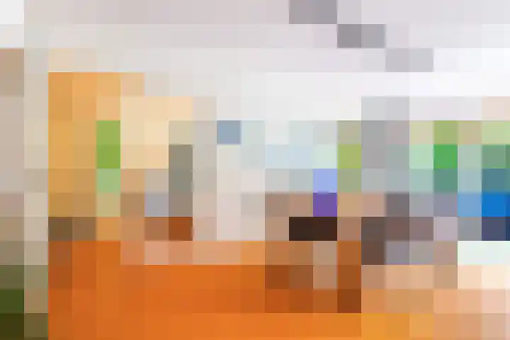 Roerdomp 3 Groningen thumbnail 12