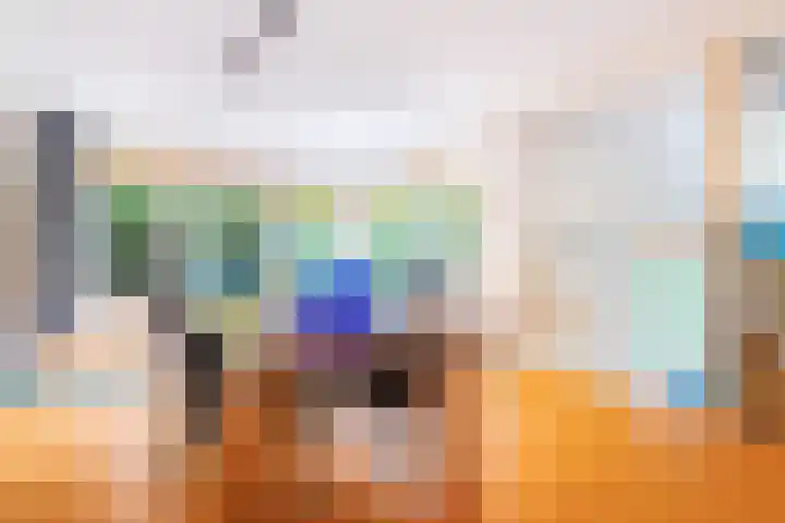 Roerdomp 3 Groningen thumbnail 13