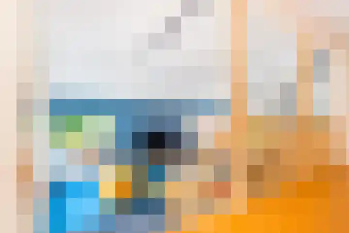 Roerdomp 3 Groningen thumbnail 14