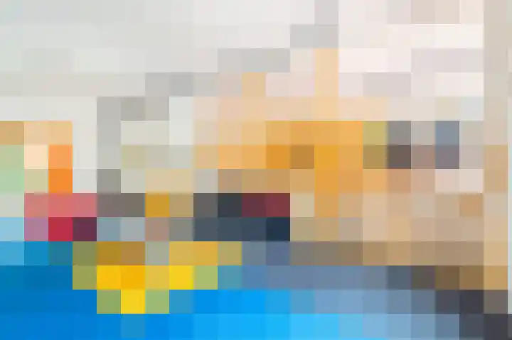 Roerdomp 3 Groningen thumbnail 15