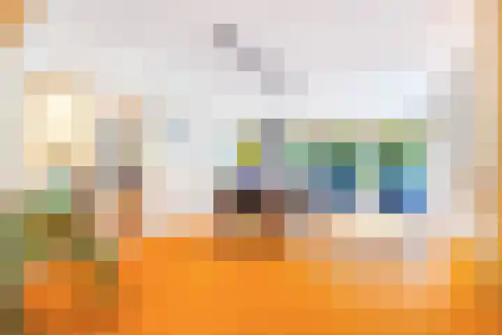 Roerdomp 3 Groningen thumbnail 17