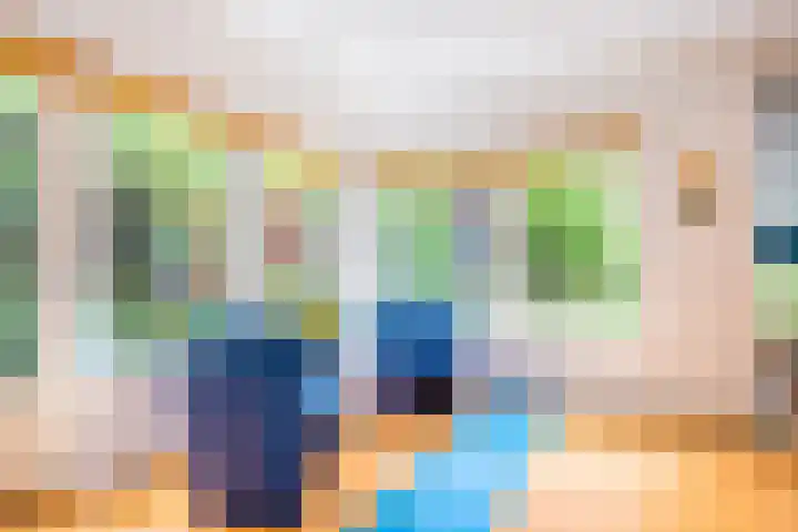 Roerdomp 3 Groningen thumbnail 19