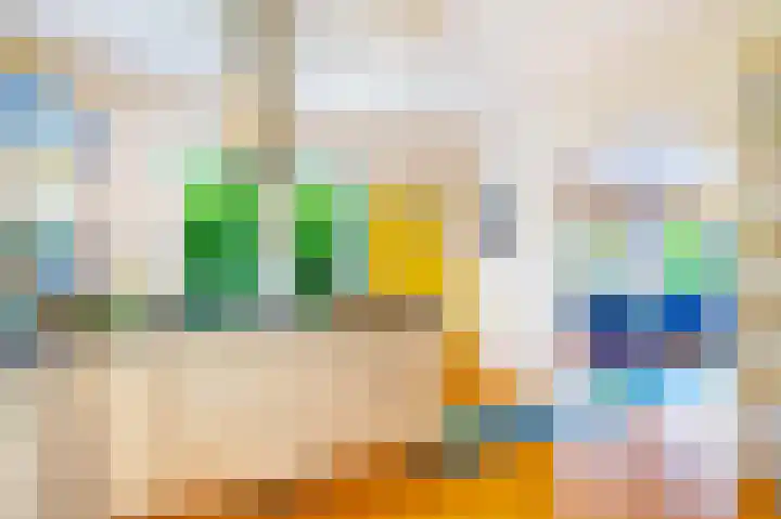 Roerdomp 3 Groningen thumbnail 21