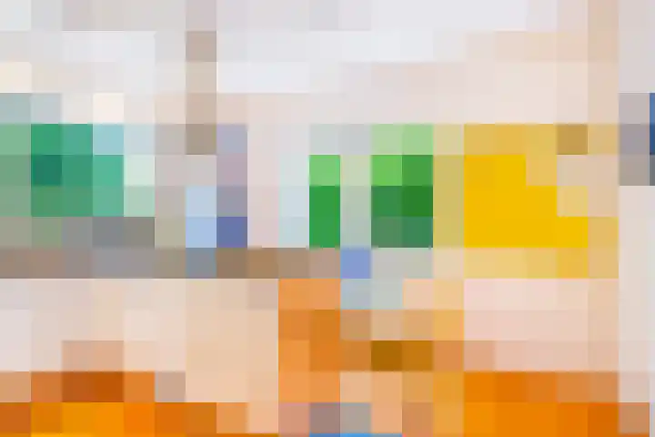 Roerdomp 3 Groningen thumbnail 22