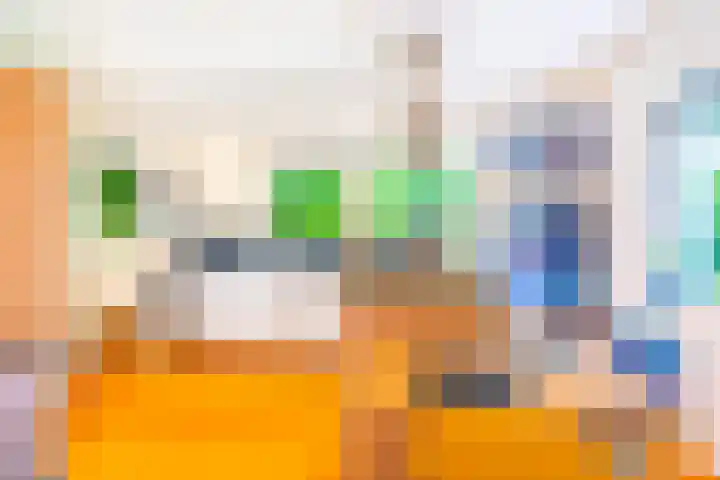 Roerdomp 3 Groningen thumbnail 23