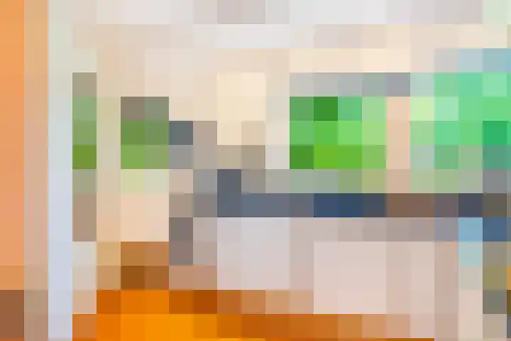 Roerdomp 3 Groningen thumbnail 24