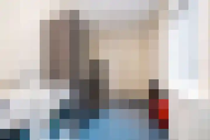Roerdomp 3 Groningen thumbnail 27