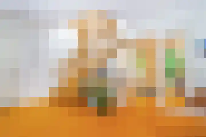 Roerdomp 3 Groningen thumbnail 31