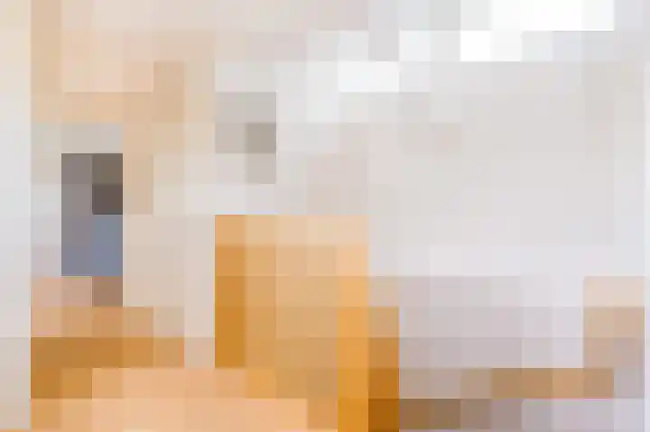 Roerdomp 3 Groningen thumbnail 32