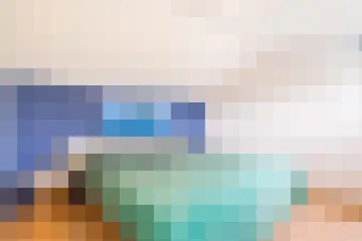 Roerdomp 3 Groningen thumbnail 35