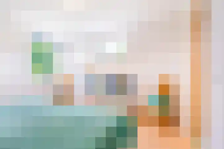 Roerdomp 3 Groningen thumbnail 36